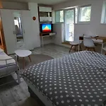Apartman S Terasou